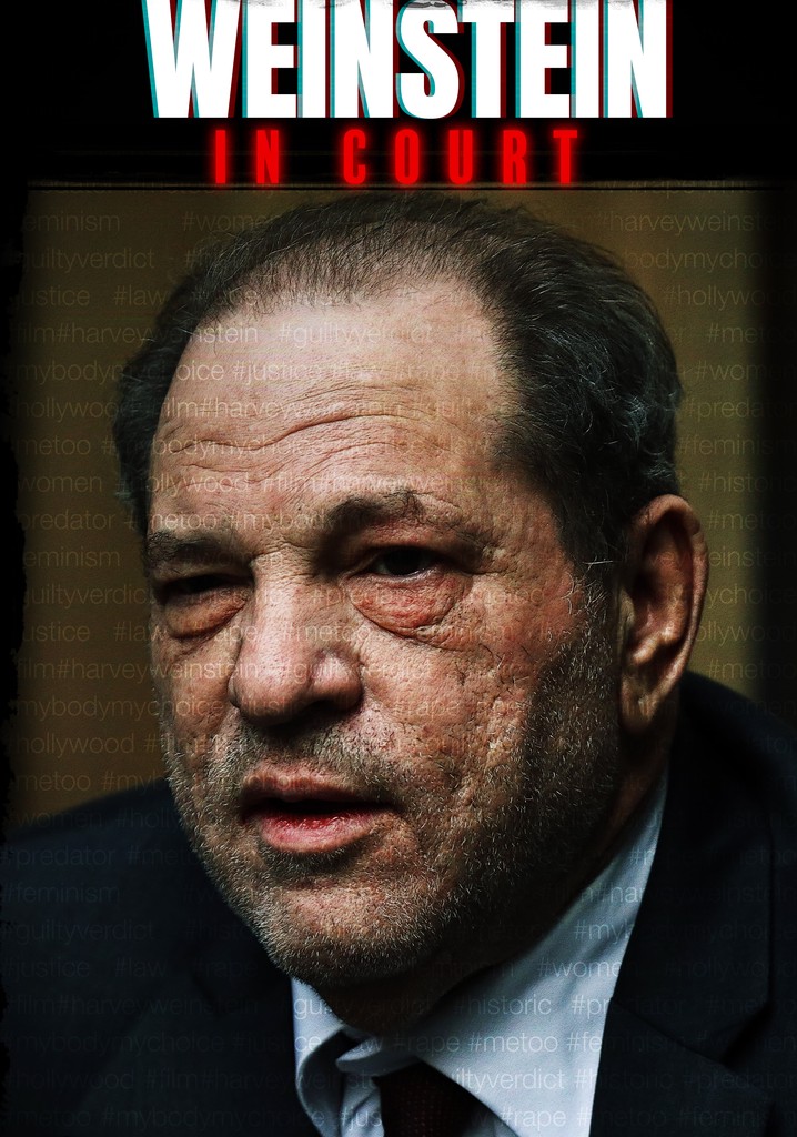 Weinstein In Court película Ver online en español